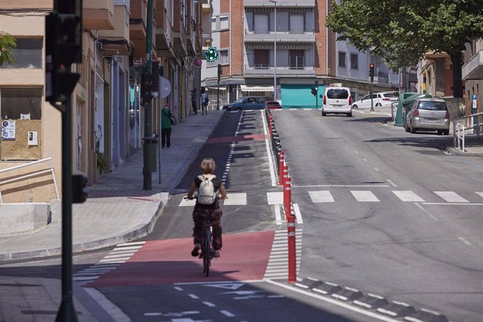 Carril bici en la calle Julian Gayarre de Pamplona.