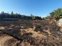 Moody's advierte del impacto negativo sobre el turismo y el perfil crediticio de España de incendios y sequía