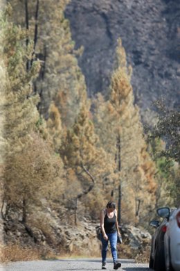 Voluntarios observan exhaustos los daños causados en la Sierra de Caurel tras el incendio, a 23 de julio de 2022, en Lugo, Galicia, (España). Las hectáreas quemadas en la Sierra de O Courel se mantienen en 10.000. O Courel, es una de las comarcas con ma