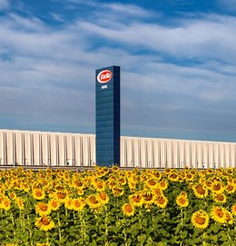 Barilla confirms the path started over 10 years ago. 70% of the main raw materials (durum wheat, soft wheat, rye, basil, tomatoes, cocoa and vegetable oils) are now grown sustainably