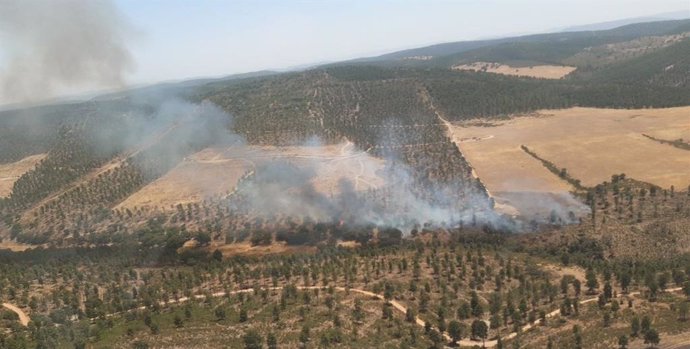 Incendio forestal en Almadén