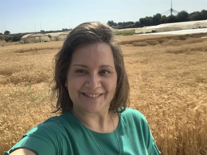 La investigadora del IAS-CSIC Pilar Hernández, autora del estudio, en un campo de trigo.