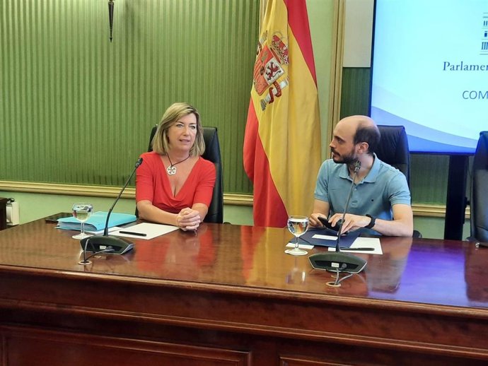 La consellera de Salud y Consumo, Patricia Gómez, antes de comenzar su comparecencia.
