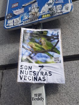 Archivo - Cartel a favor de las cotorras argentinas