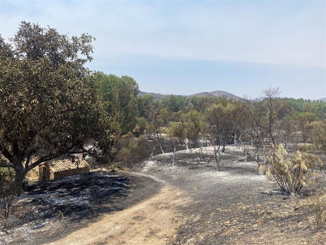 El incendio forestal de Ateca ha calcinado más de 14.000 hectáreas.