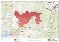 Las últimas mediciones en Cebreros (Ávila) estiman una superficie afectada de 4.262 hectáreas
