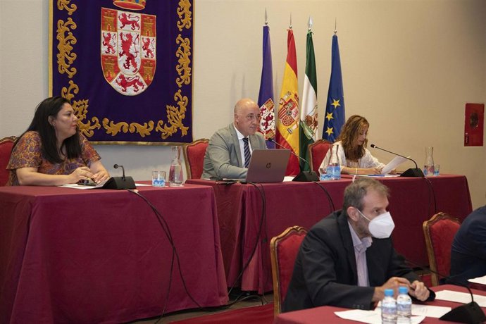 El presidente de la Diputación de Córdoba, Antonio Ruiz (centro), preside el Pleno de la institución provincial.