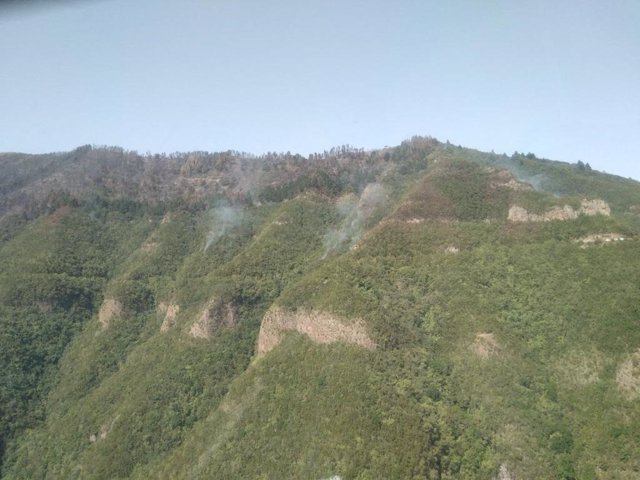 Imagen aérea de la ladera de Tigaiga tomada en la mañana del miércoles 27 de julio