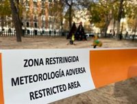 El Retiro y ocho parques de la capital mantendrán zonas balizadas hasta las 21 horas tras activarse la alerta amarilla