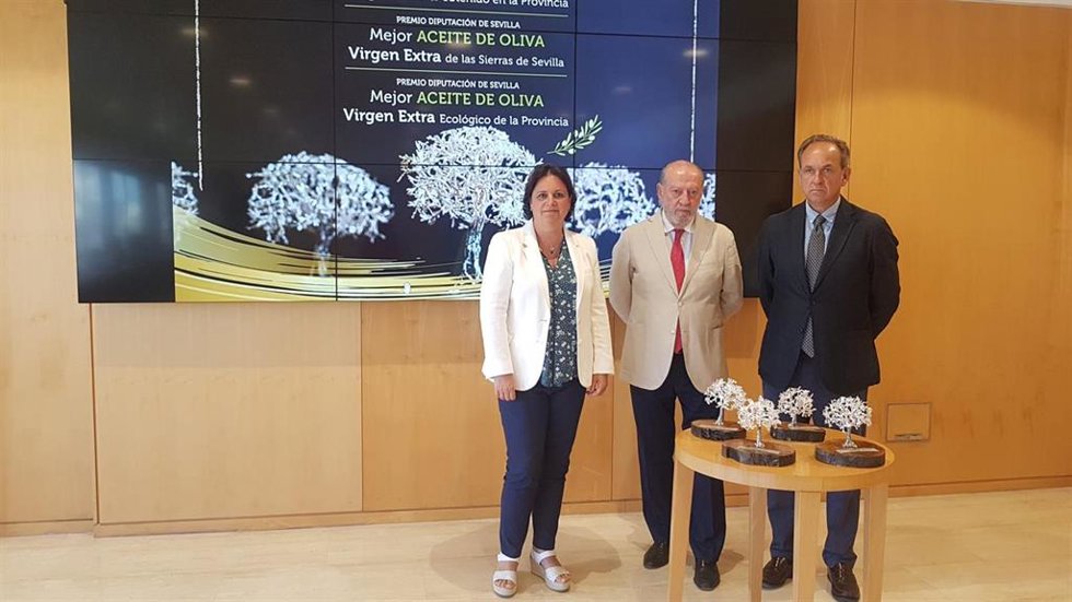 El presidente de la Diputación (en el centro), tras el anuncio del fallo del jurado de los Premios a los mejores AOVE de la provincia.