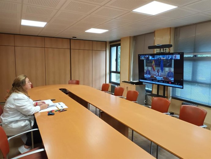 La consejera de Educación, Lydia Espina, en la sectorial de Educación.