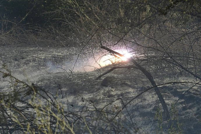 Vista de un incendio en Tarascón, a 21 de julio de 2022, en Tarascón, Ourense, Galicia (España). Un pequeño incendio declarado pasadas las 17:00 ha puesto en alerta a los vecinos de la parroquia de Canedo, dentro del término municipal de Ourense. El fue