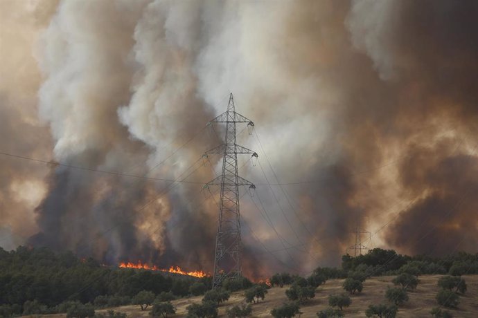 Imagen de archivo de este lunes del incendio forestal declarado en Pinos Puente.