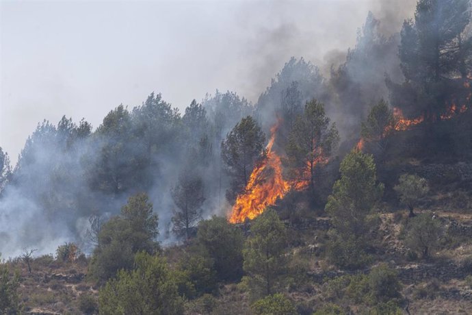 Vista general de un nuevo incendio cerca del antiguo vertedero del Pont de Vilomara, a 18 de julio de 2022, Barcelona, Catalunya (España). Según han informado los Bomberos, este nuevo incendio se ha iniciado, por motivos que se investigan, cerca del ant