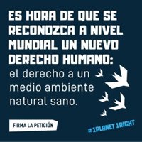 Un medio ambiente sano, en puertas de convertirse en un derecho universal reconocido por la ONU