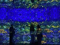 Santander amplía la exposición 'El Mundo de Van Gogh' hasta el 31 de agosto