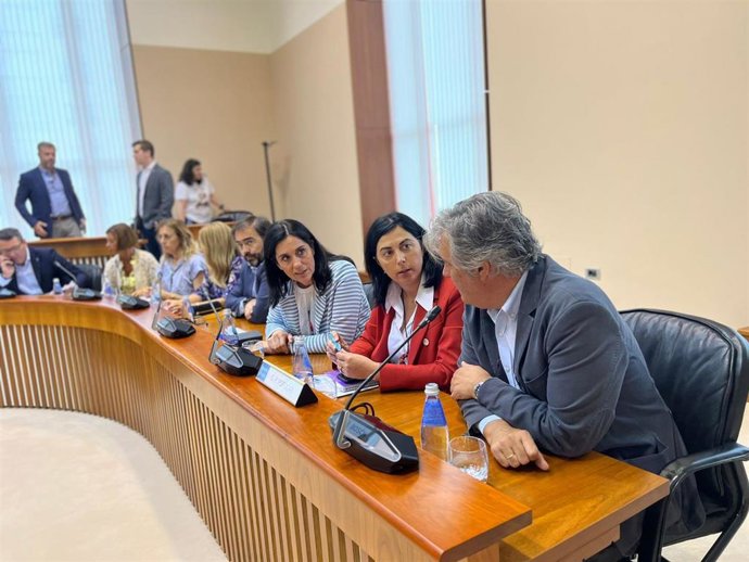 Diputación Permanente del Parlamento de Galicia , en el que Elena Candia, diputada del PPdeG, ha sido elegida vicepresidenta de la Mesa de este órgano