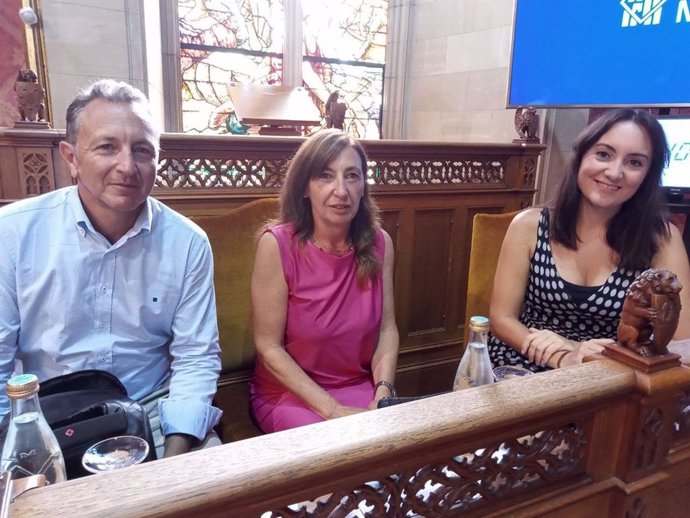 Ciudadanos durante el pleno del Consell de Mallorca.