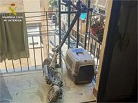 Sofocan el incendio de una vivienda en Alicante tras explotar la batería de un patinete eléctrico