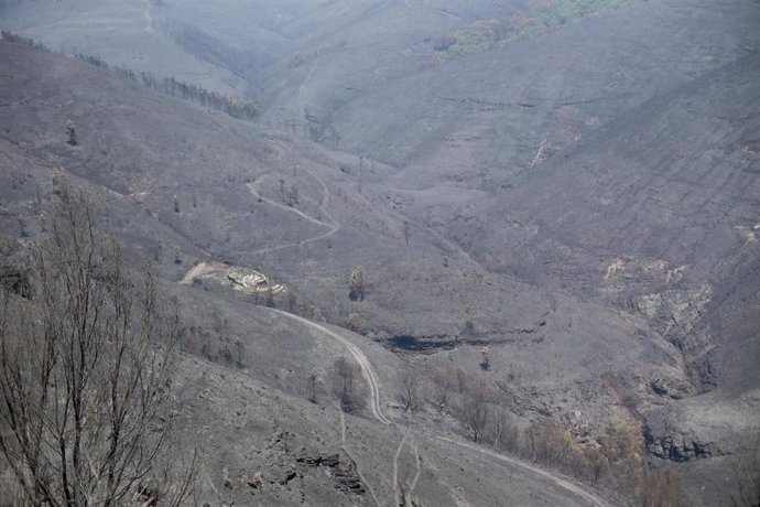 Vista general de la zona afectada por el fuego de Folgoso do Courel, a 20 de julio de 2022, en Folgoso do Courel, Lugo, Galicia (España). La Consellería de Medio Rural ha elevado a más 1.400 los desalojados por incendios en 80 núcleos en los fuegos que 