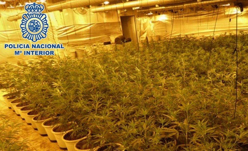 Cuatro detenidos por secuestrar y pegar a dos hombres a los que contrataron para su plantación de droga