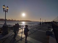 Foro insta a posponer al próximo mandato la licitación del proyecto constructivo de la reforma del Muro