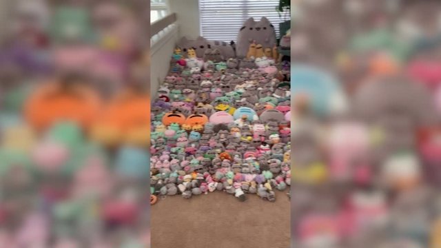 Esta adolescente ha conseguido una colección de peluches impresionante: hay más de 700