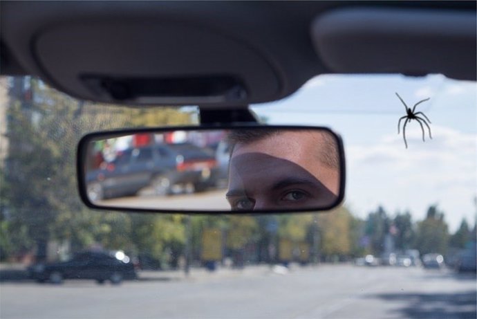 Conducir, distracción al volante.