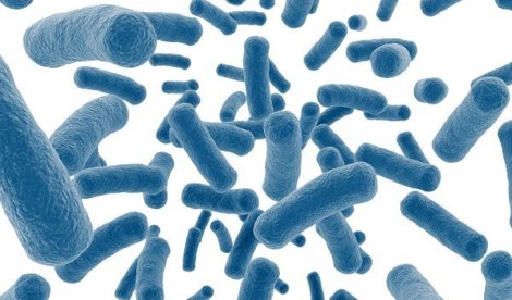 Comunicados Internacional