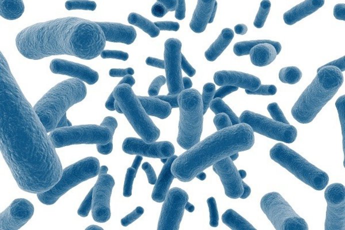Angel Yeast displayed its latest products and solutions of fermentation nutrients at the expo