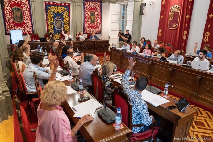 Pleno ordinario de 28 de julio de 2022