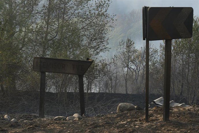 Zona vexetal afectada o incendio, a 18 de xullo de 2022, no Barco de Valdeorras, Ourense, Galicia (España). A superficie arrasada polos principais incendios rexistrados en Galicia xa supera as 9.000 hectáreas, segundo as estimacións provisiona