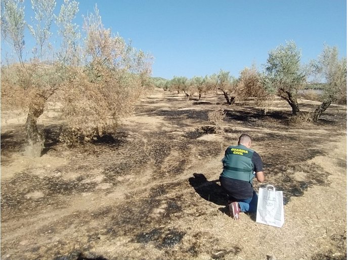 Un agente de la Guardia Civil inspecciona una de las zonas quemadas.