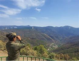 Militar del Ejército de Tierra en la operación de lucha contra incendios en Castilla y León