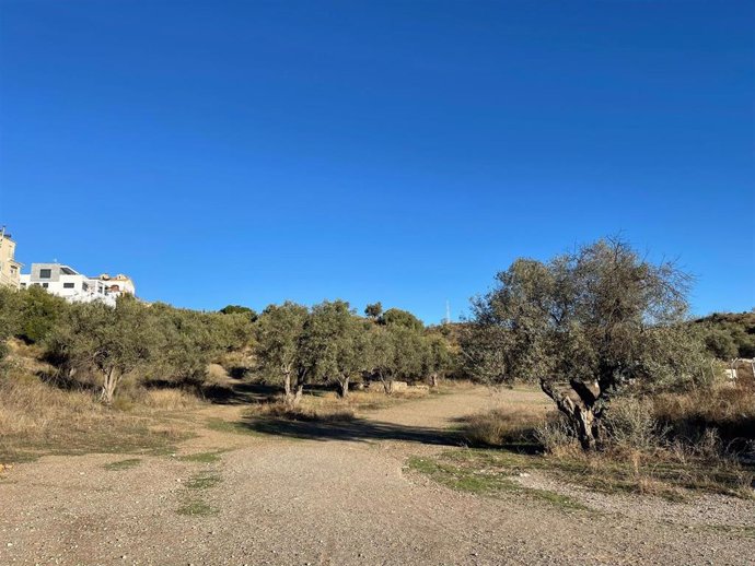 El Ayuntamiento de Rincón de la Victoria y la Diputación firman un acuerdo para avanzar en el proyecto de Parque Periurbano de Torre de Benagalbón. En la imagen, los terrenos donde se ubicará.