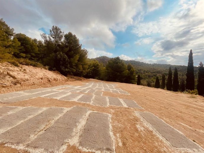 Fosa del Mas de Santa Magdalena, en Móra d'Ebre (Tarragona).