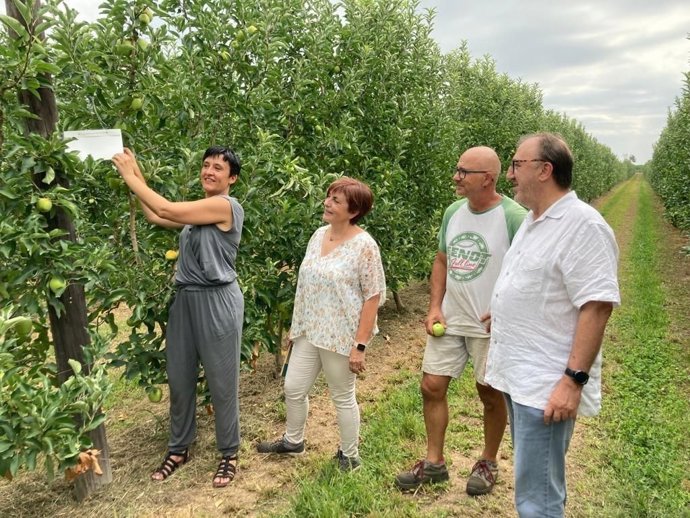 La directora general de Agricultura, Elisenda Guillaumes, a la izquierda, este viernes en una finca de Bell-lloc dUrgell, junto a un agricultor, la técnica de la Agrupación de Defensa Vegetal y el secretario de Alimentación, Carmel Mdol.