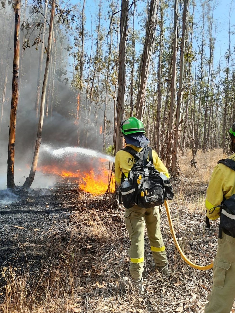 Efectivos trabajando en los incendios de Bonares y Almonte (Huelva).