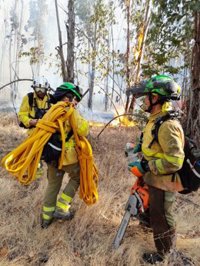 El Plan Infoca da por controlado el incendio en el paraje Sierra Carbonera en La Línea (Cádiz)