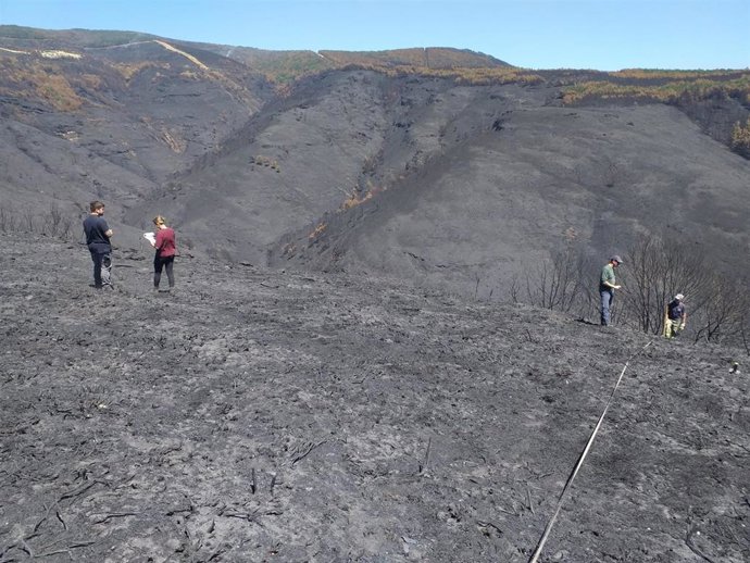 Técnicos del Centro de Investigación Forestal de Lourizán (Pontevedra) evalúan los daños en la Serra do Courel (Lugo) provocados por los incendios.