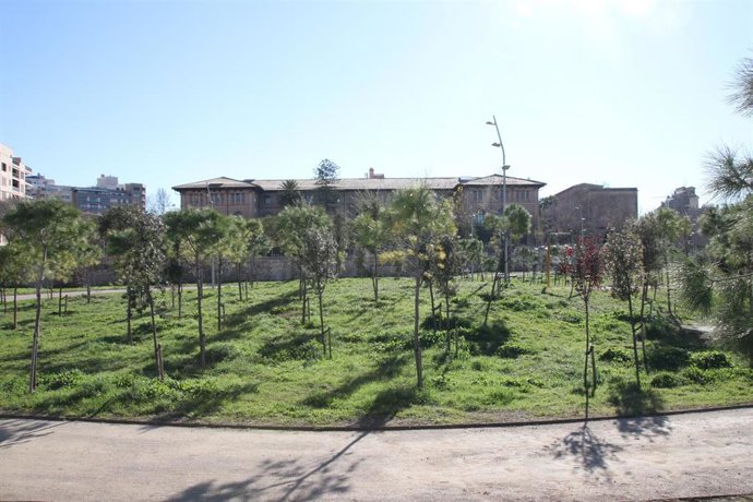 Canódromo balear. Palma.