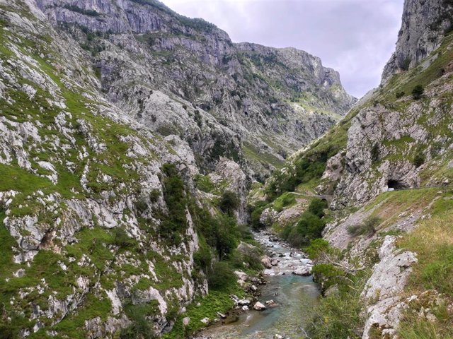 Archivo - Ruta de senderismo entre Poncebos y Bulnes, en el concejo de Cabrales, en los Picos de Europa. 