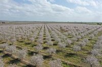 Bain cierra su año fiscal con ingresos de 136 millones de euros, un 5,1% menos