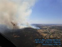 Nivel 1 en un incendio en Collado del Mirón (Ávila)
