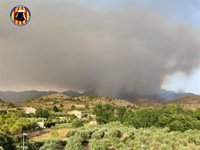 Controlado el incendio forestal de Calles