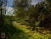 Antonio Calahorrano, David Toledo y Eduardo Garrobo, ganadores del II Concurso Fotográfico 'Ciudad de Calahorra'