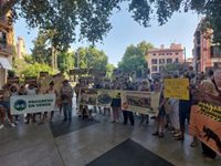 Cientos de personas exigen en Palma "el fin de la explotación de los caballos de galeras"