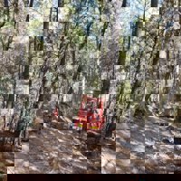 El fuego de Sevilleja afecta a 540 hectáreas y la lluvia podría ayudar a bajar de nivel 2 a 0 directamente