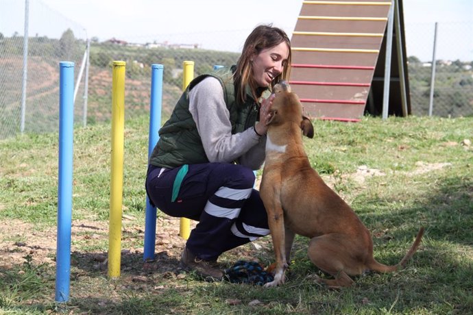 Diputación convoca las subvenciones en materia de protección y bienestar de animales de compañía 2022