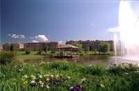 Música, teatro y cine, principales protagonistas de la oferta de la red Civivox para el mes de agosto